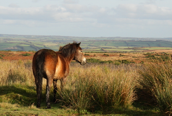 Exmoor Day, Exmoor 70. Photo copyright Pat Adams North Devon Focus